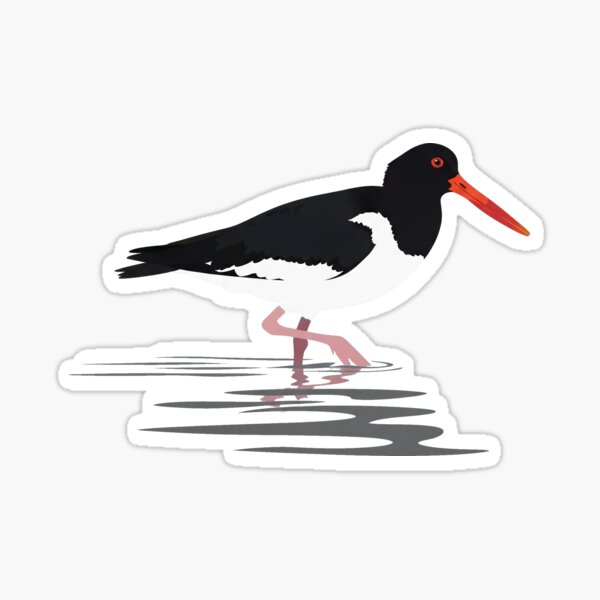 Item preview, The Eurasian Oystercatcher - Minimalist Shorebird Art designed and sold by TheArtEngineer.