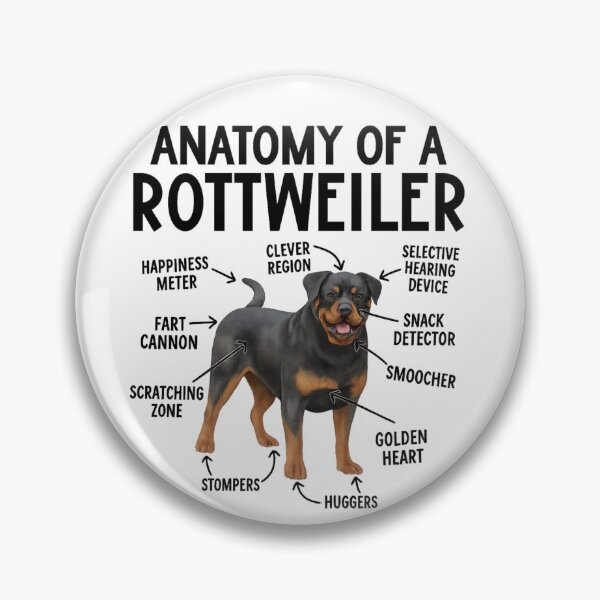 Item preview, Anatomy of a Rottweiler designed and sold by 123ks.