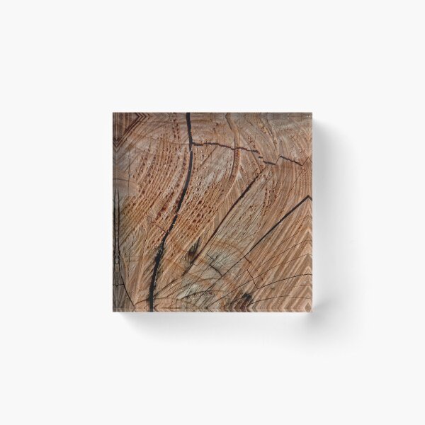 Item preview, Woodage II (2025) designed and sold by stephentrepreneur.