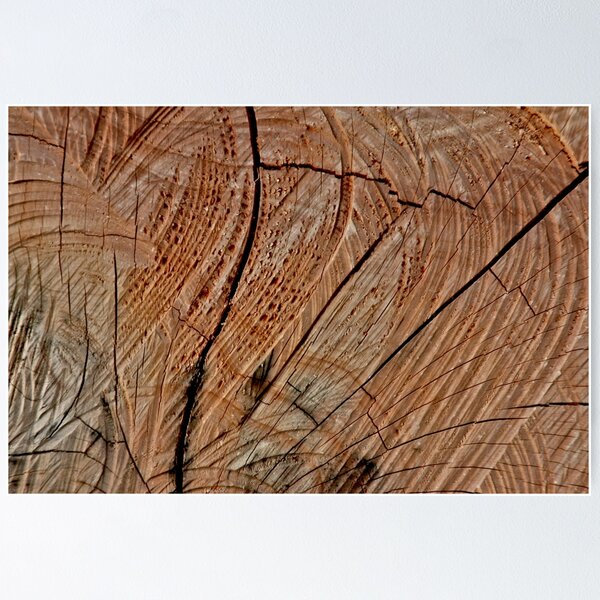 Item preview, Woodage II (2025) designed and sold by stephentrepreneur.