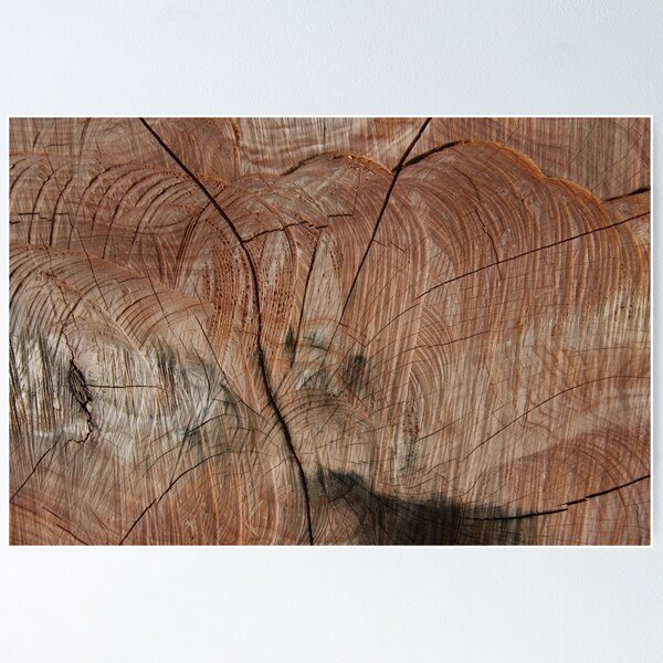 Item preview, Woodage III (2025) designed and sold by stephentrepreneur.