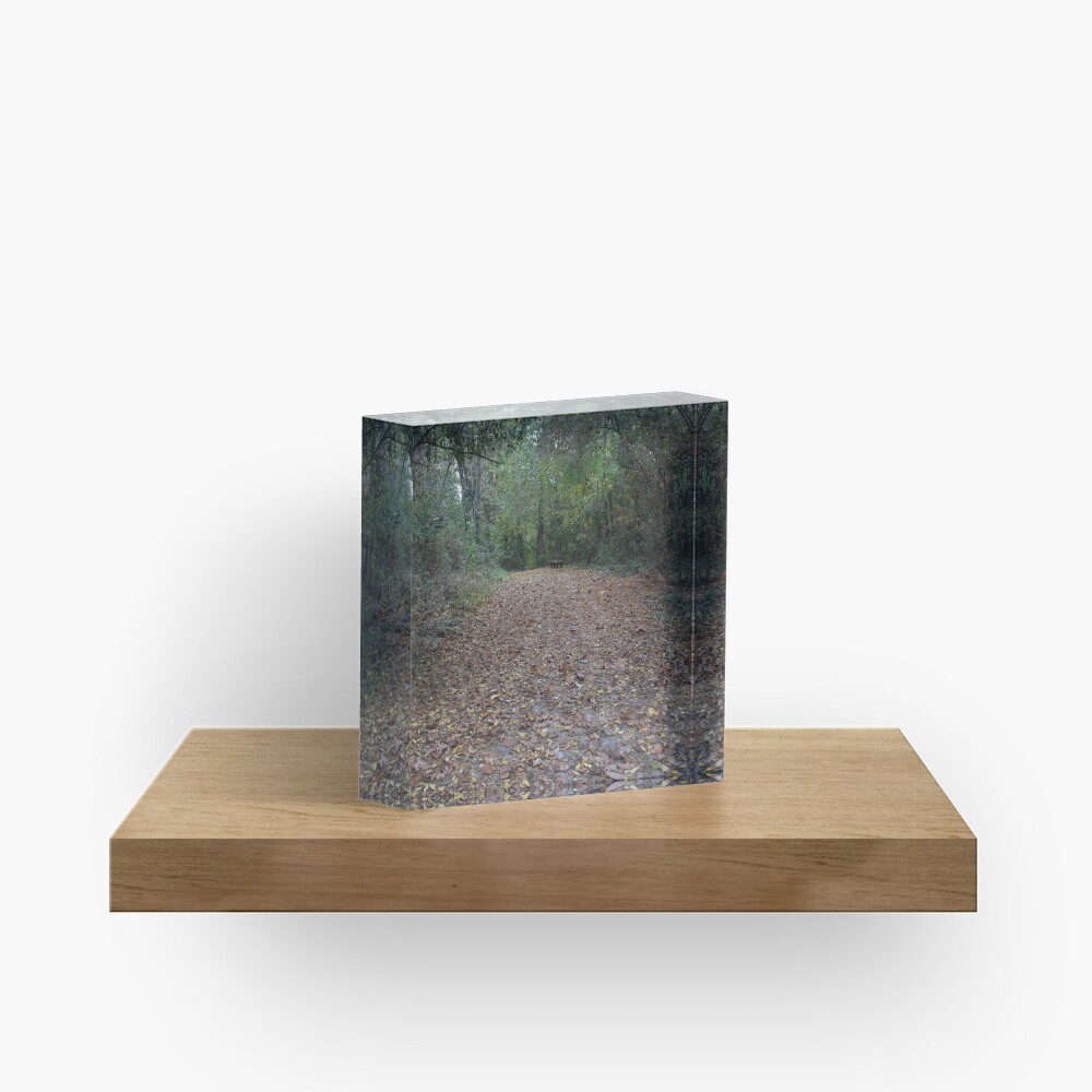 Item preview, Acrylic Block designed and sold by fundingafuture.