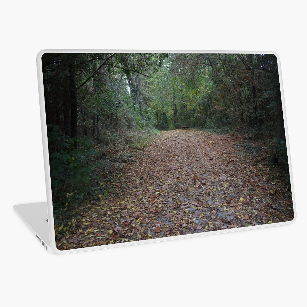Item preview, Laptop Skin designed and sold by fundingafuture.