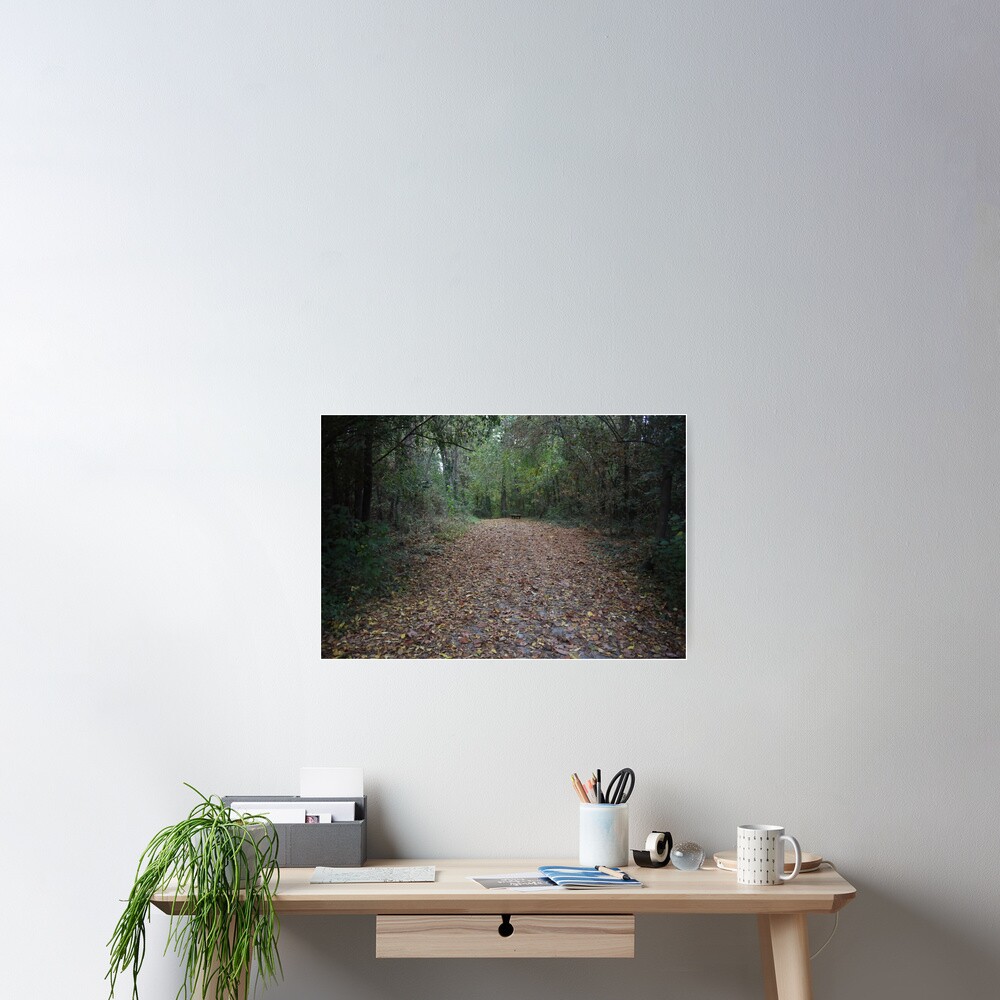 Item preview, Poster designed and sold by fundingafuture.