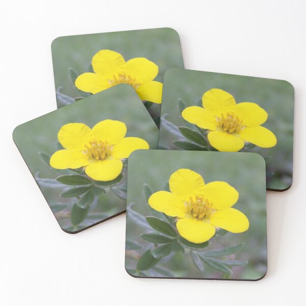 Item preview, little flower designed and sold by Bee’s ART!.