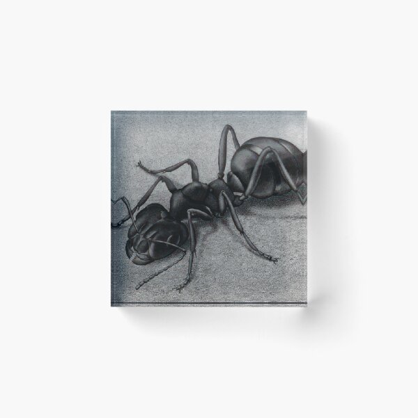 Item preview, Maurits Cornelis Escher designed and sold by BadRadishey.