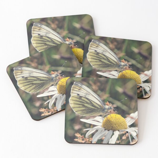 Item preview, Green-Veined White designed and sold by Tom McPherson Photography.