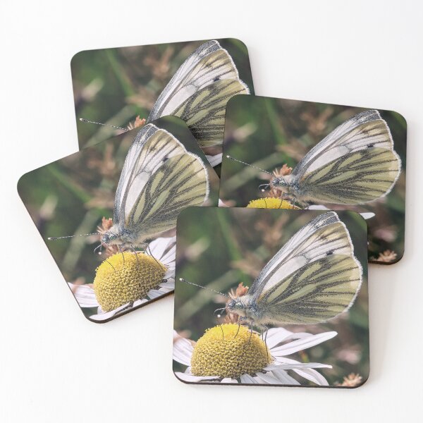 Item preview, Green-Veined White designed and sold by Tom McPherson Photography.