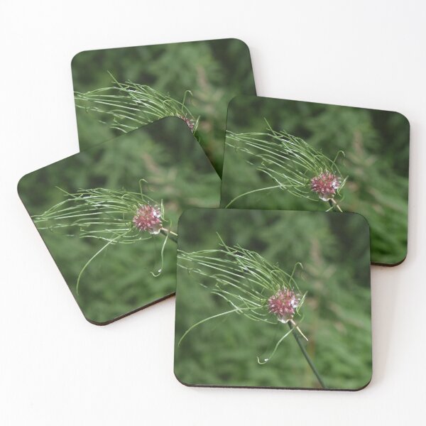 Item preview, Nature’s Abstract: Allium Vineale designed and sold by fundingafuture.