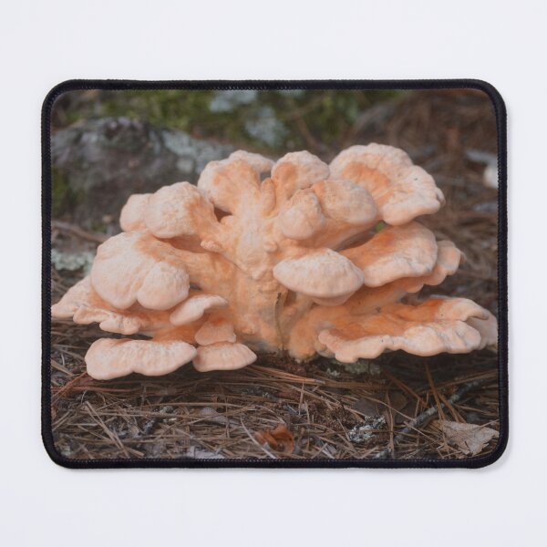 Item preview, Coral Mushroom designed and sold by fundingafuture.