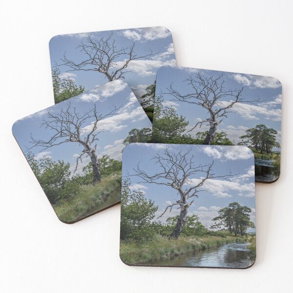 Item preview, The Lightning Tree designed and sold by Tom McPherson Photography.