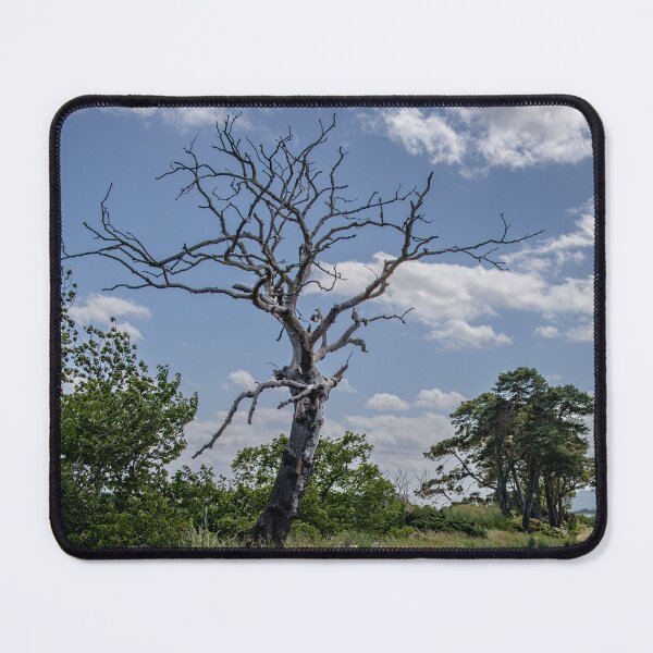 Item preview, The Lightning Tree designed and sold by Tom McPherson Photography.
