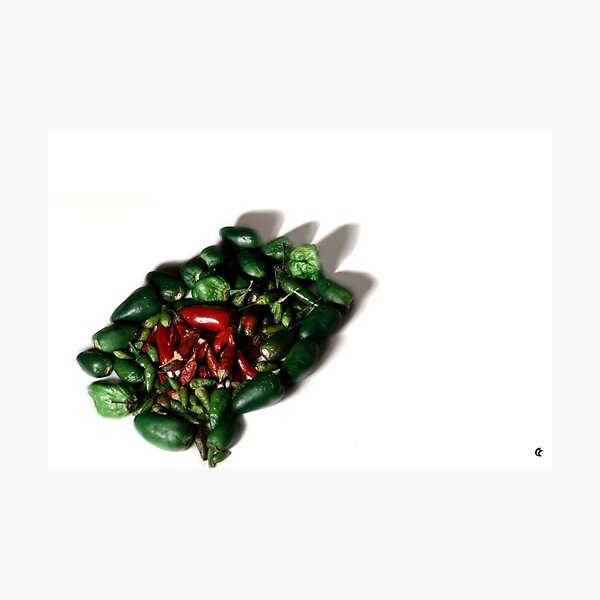 Flag of Bangladesh Photographic Print