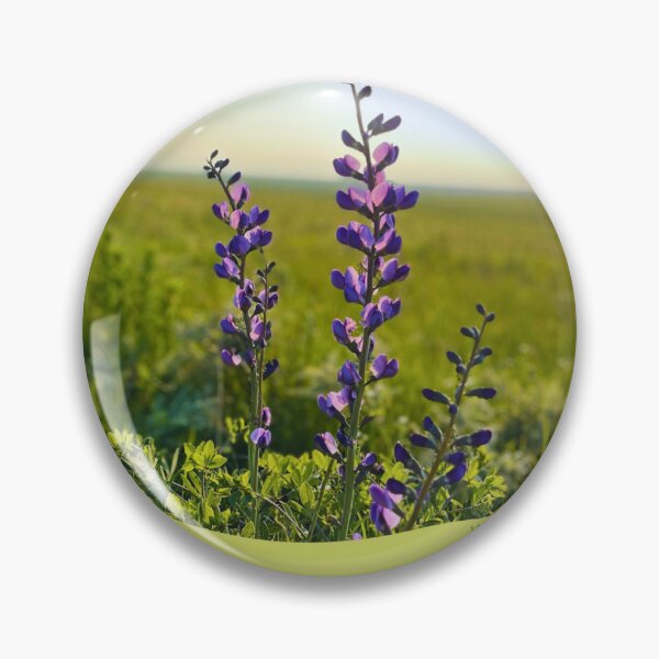 Item preview, Native Pollinator Garden Informational Sign designed and sold by AuDHDPsych.
