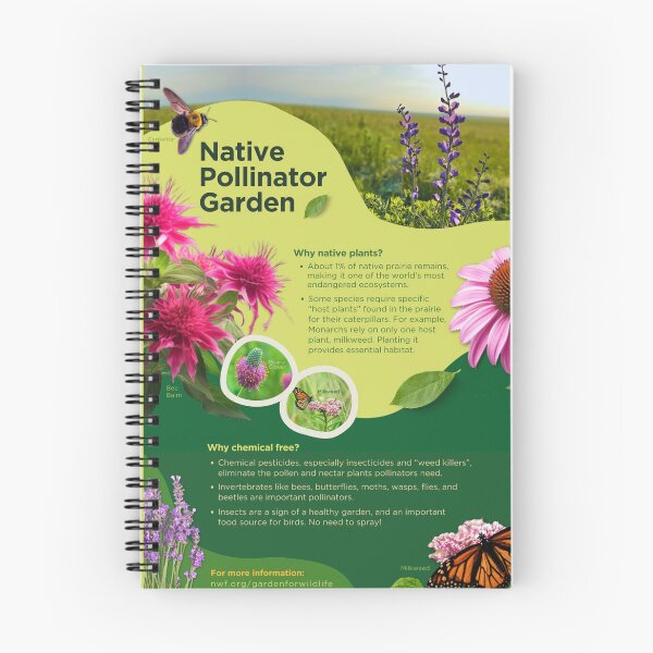 Item preview, Native Pollinator Garden Informational Sign designed and sold by AuDHDPsych.