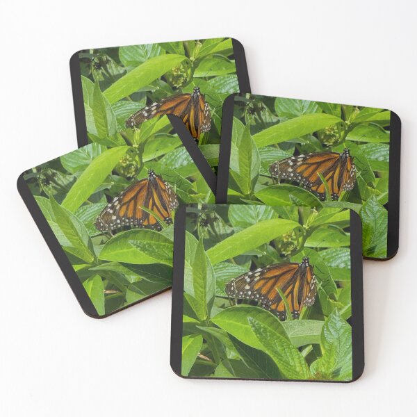 Item preview, Butterfly at EPCOT designed and sold by Monika's Shop.