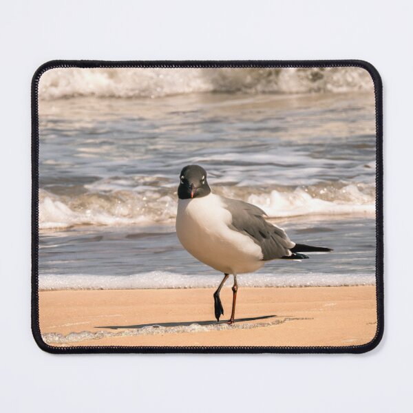 Item preview, Laughing Gull Beach Walking designed and sold by Debra Martz.