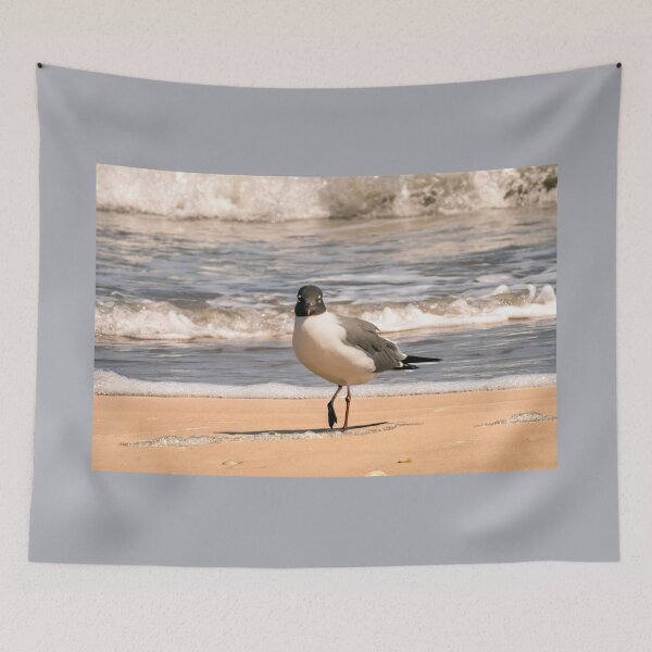 Item preview, Laughing Gull Beach Walking designed and sold by Debra Martz.