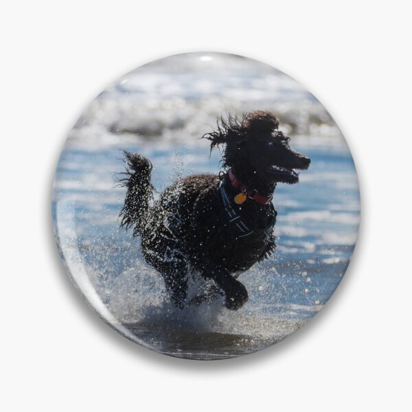 Item preview, Happy Dog At The Beach designed and sold by Debra Martz.