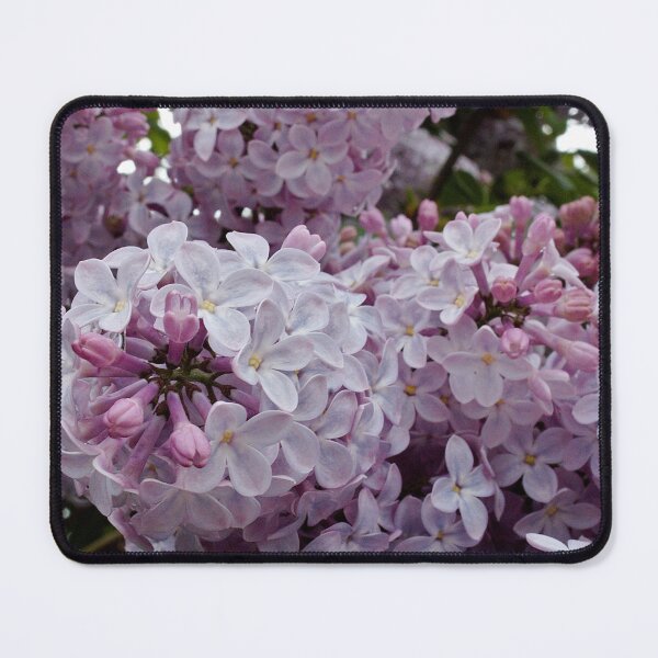 Item preview, Photo of lilacs designed and sold by ERICHMAN.