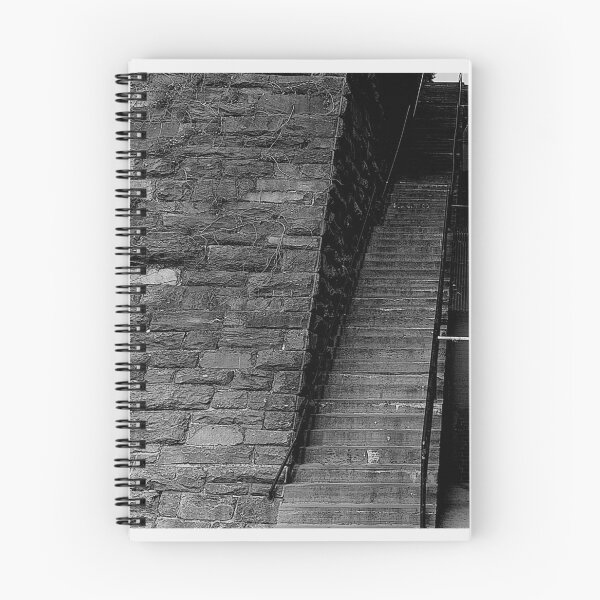 Item preview, Photograph of the Exorcist Steps  designed and sold by ERICHMAN.