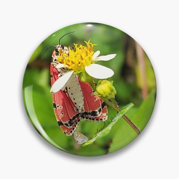 Item preview, NS Exotic  Pink, White & Black Butterfly RZ 6/23 designed and sold by Unlimited Imagination .