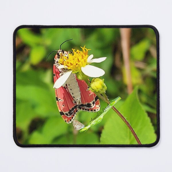 Item preview, NS Exotic  Pink, White & Black Butterfly RZ 6/23 designed and sold by Unlimited Imagination .