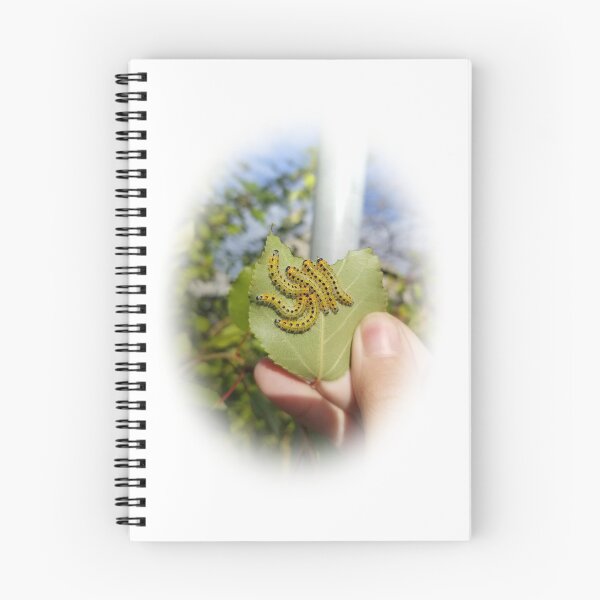 Item preview, Caterpillars designed and sold by Ali Oops Design.