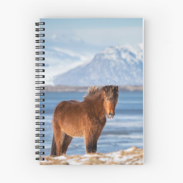 Item preview, Icelandic Horse #2 designed and sold by Dominika Aniola.