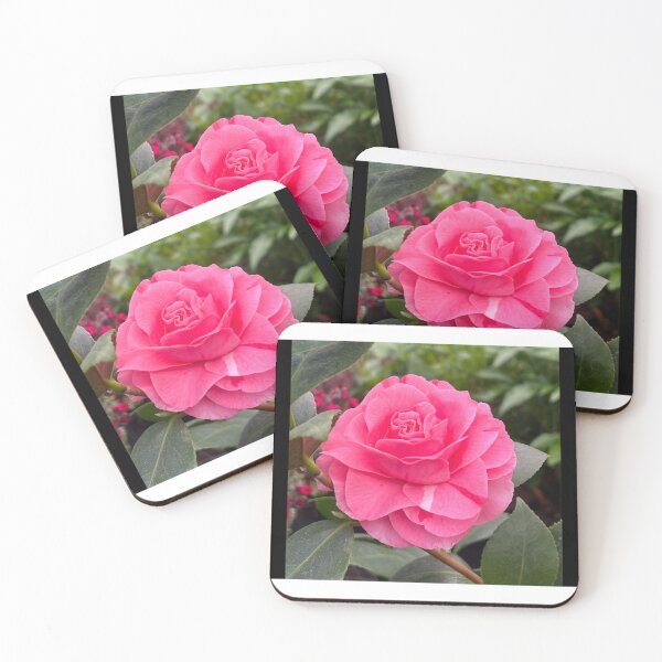 Item preview, Pink Hybrid Rare Roses, Hibiscus ,Flowers, Garden, Aesthetic, Cottagecore ,Roses ,Lily ,Pansy ,Petunia ,Environment, Environmental , designed and sold by NyxVoid Designs.
