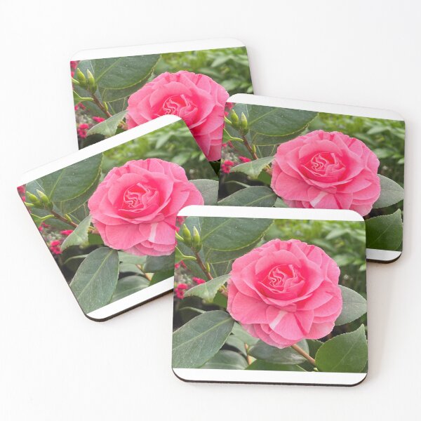 Item preview, Pink Hybrid Rare Roses, Hibiscus ,Flowers, Garden, Aesthetic, Cottagecore ,Roses ,Lily ,Pansy ,Petunia ,Environment, Environmental , designed and sold by NyxVoid Designs.
