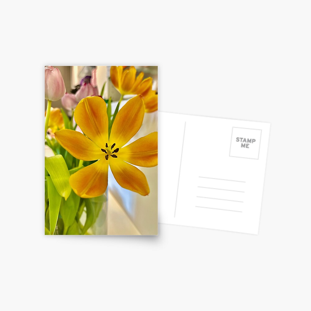 Item preview, Postcard designed and sold by Elep-be.