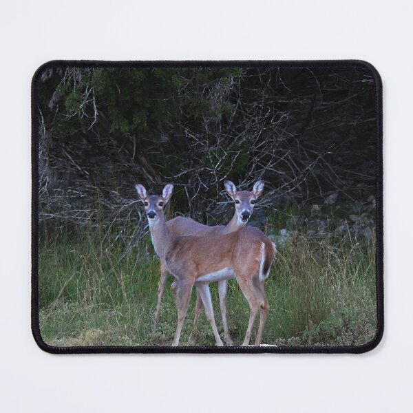 Item preview, Double Deer designed and sold by CupOfNova.