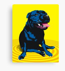 staffy / PBT Canvas Print