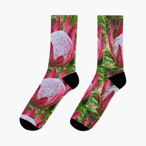 Item preview, Protea! designed and sold by Kymbo.