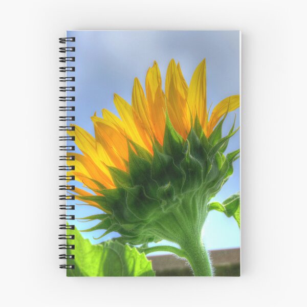 Item preview, Sunflower designed and sold by Frankie Cat Photography.
