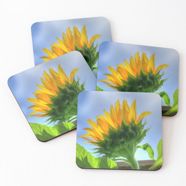 Item preview, Sunflower designed and sold by Frankie Cat Photography.