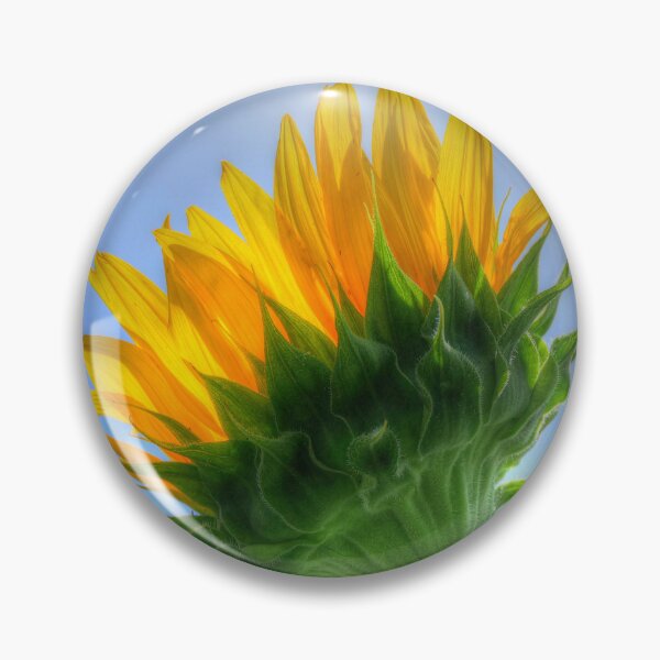 Item preview, Sunflower designed and sold by Frankie Cat Photography.