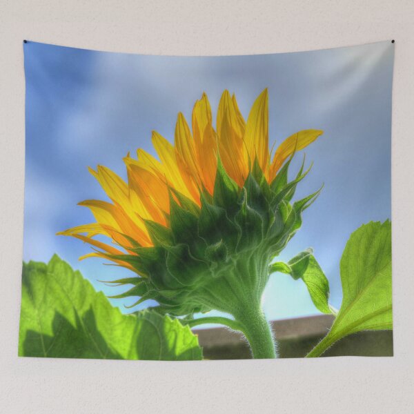 Item preview, Sunflower designed and sold by Frankie Cat Photography.