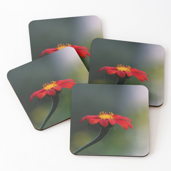 Item preview, Mexican Sunflower 8-13-24 designed and sold by Thomasyoung.