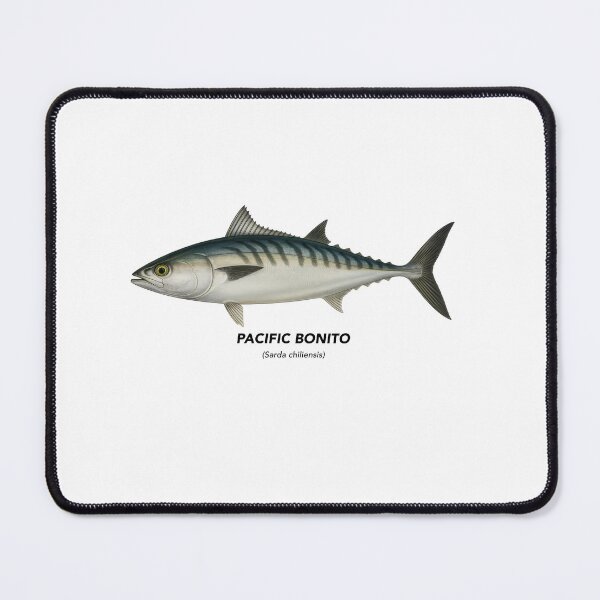 Item preview, Pacific Bonito – Marine Animals of California designed and sold by CaliforniaVibe.