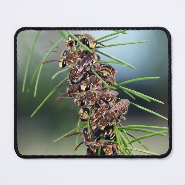 Item preview, Bees Bees Bees! designed and sold by Siene Browne.