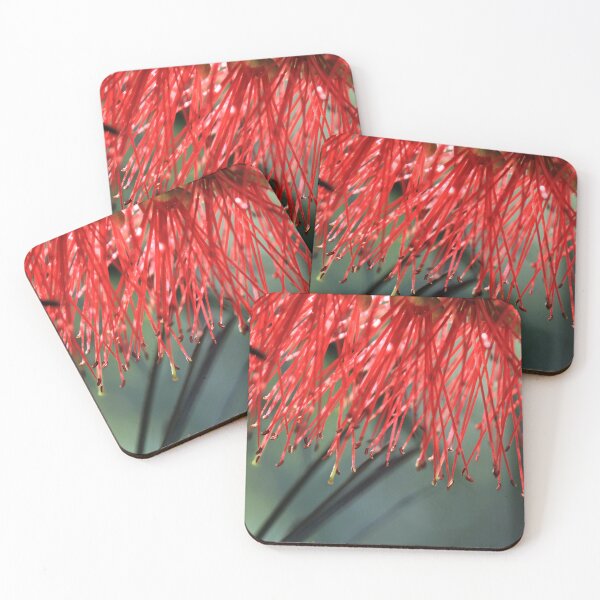 Item preview, Callistemon (Bottlebrush) designed and sold by Siene Browne.