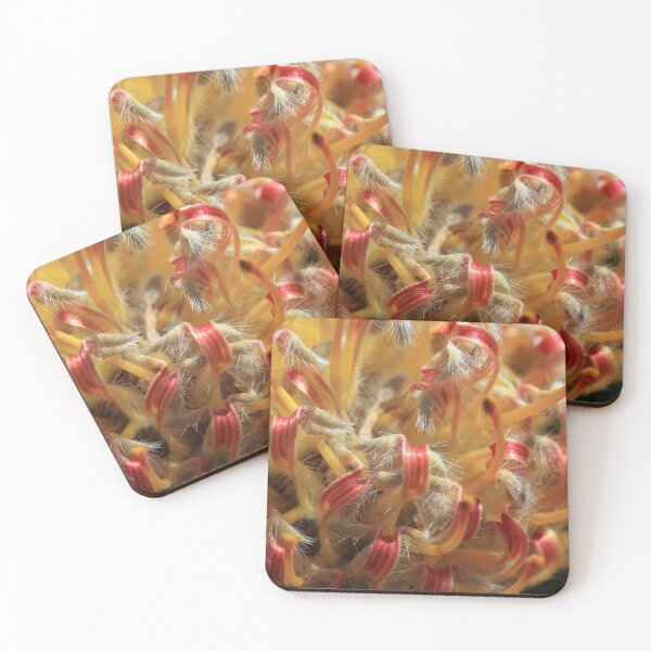 Item preview, The World Within designed and sold by Siene Browne.