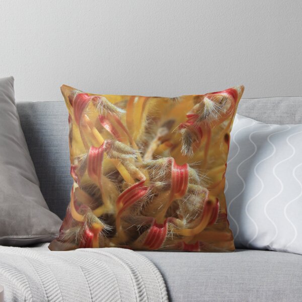 Item preview, The World Within designed and sold by Siene Browne.