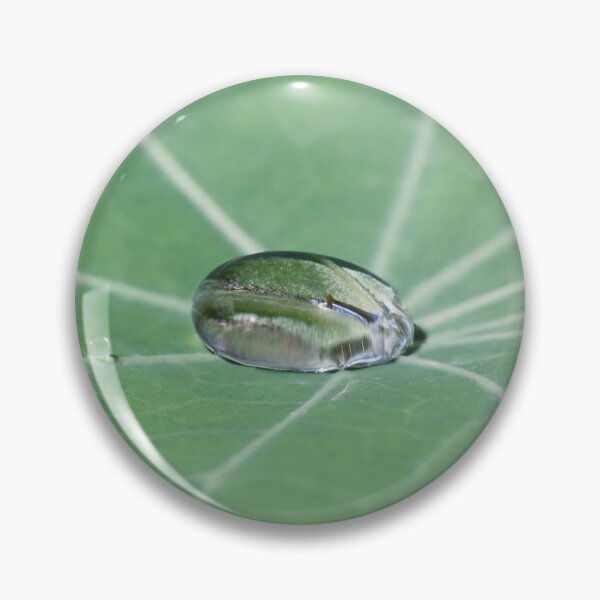 Item preview, Droplets on Nasturtium leaf designed and sold by Siene Browne.