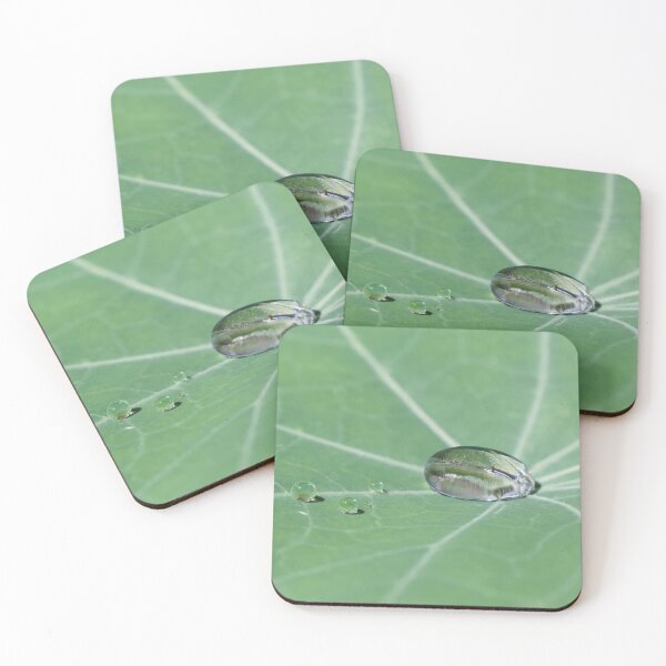 Item preview, Droplets on Nasturtium leaf designed and sold by Siene Browne.