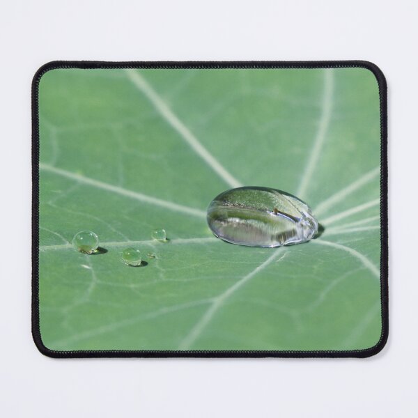Item preview, Droplets on Nasturtium leaf designed and sold by Siene Browne.