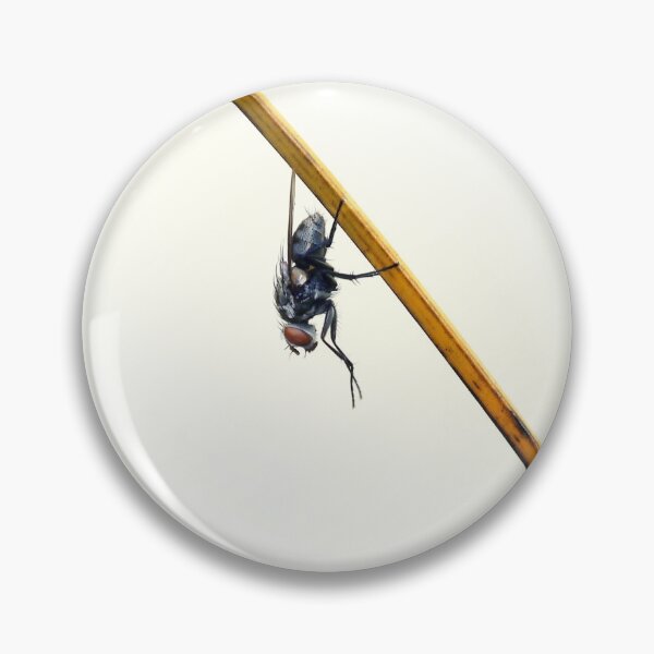 Item preview, I Spy - A Fly designed and sold by Siene Browne.