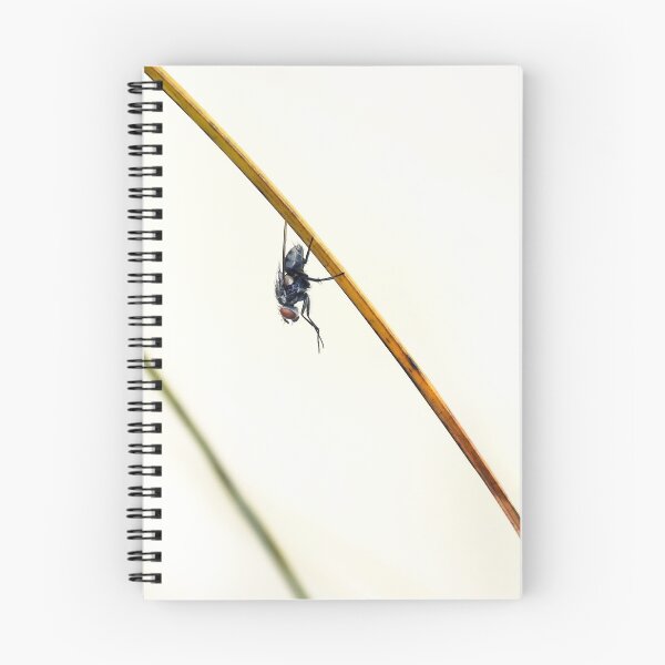 Item preview, I Spy - A Fly designed and sold by Siene Browne.